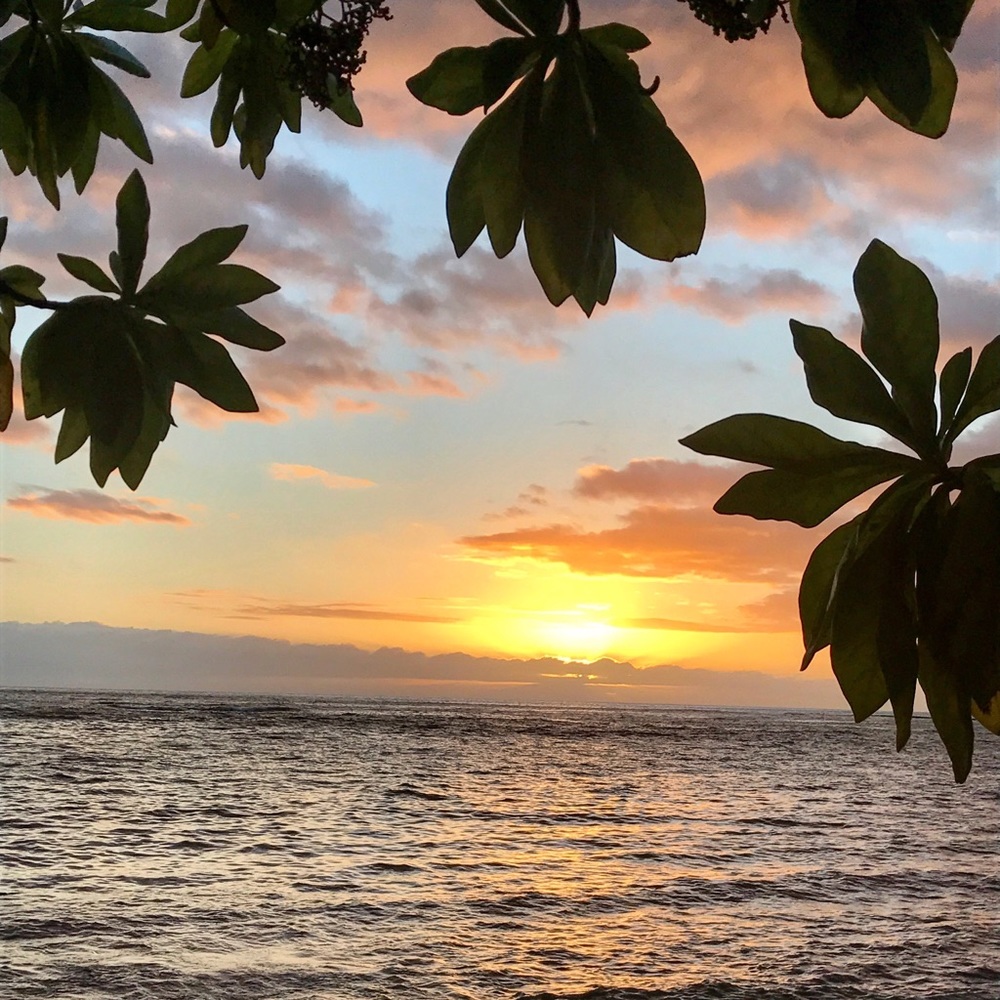 Meet your Posher, Emmylou